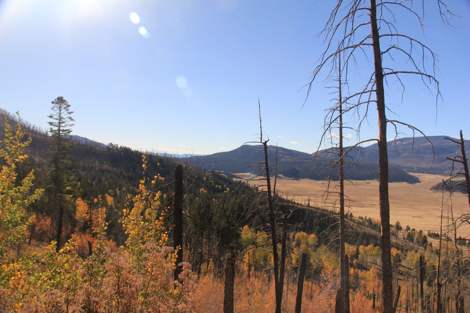 Valles Caldera National Preserve 